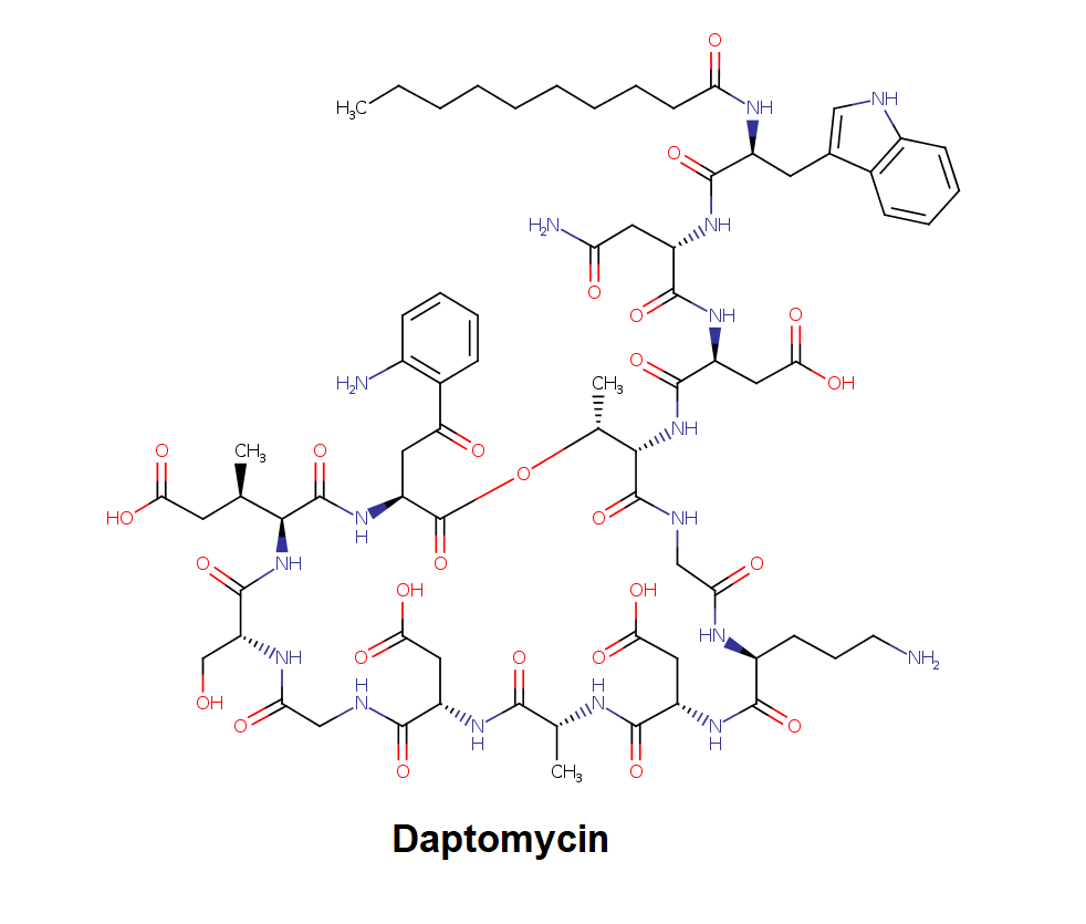 Daptomycin