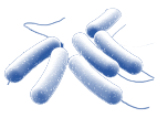 products logo